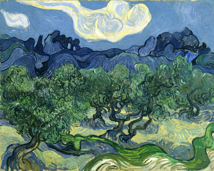 Oliviers dans les Alpilles par Vincent van Gogh