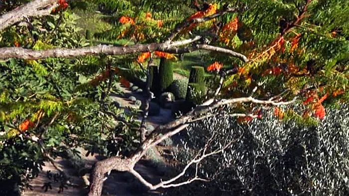 jardin de  la Louve &agrave; Bonnieux