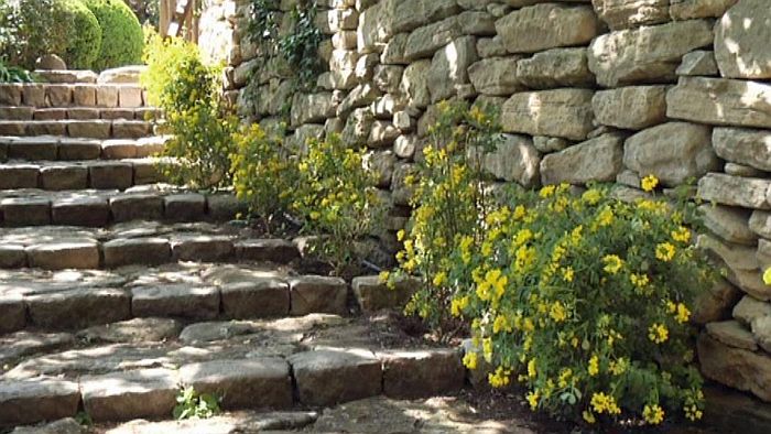 jardin de  la Louve &agrave; Bonnieux