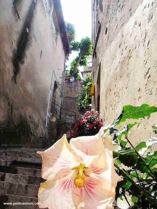 rue calad&eacute;e  au Suquet &agrave;  Cannes