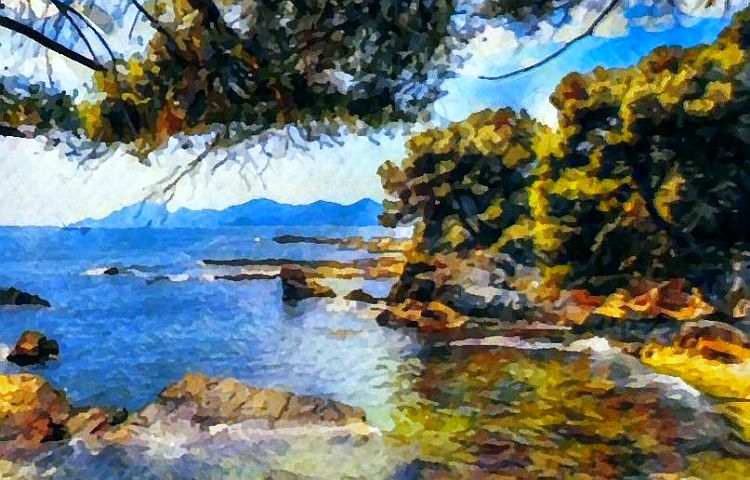 Sous les pins de Sainte-Marguerite par Dan Kopel