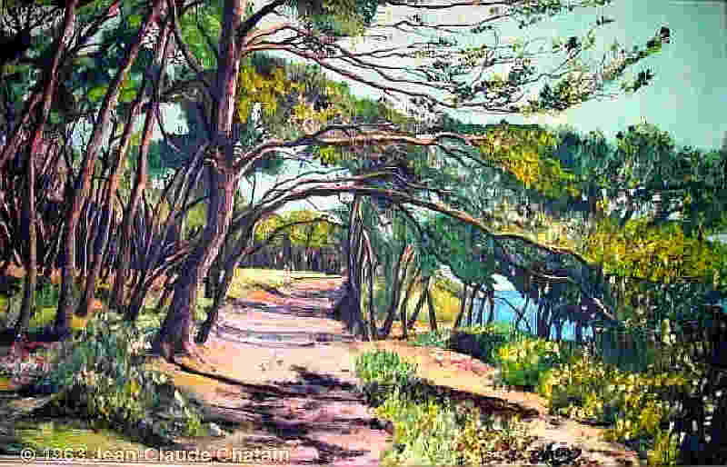 Ile de Ste-Marguerite par Jean-Claude Chatain