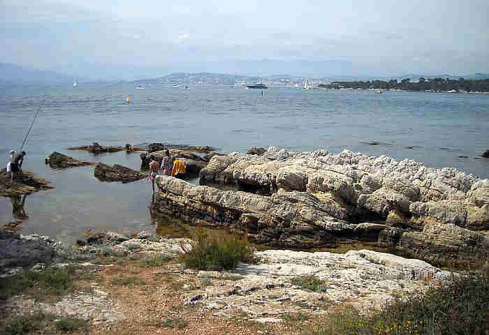 Paysage  de l'&icirc;le Saint-Honorat  avec  vue  sur Ste-Marguerite et Cannes