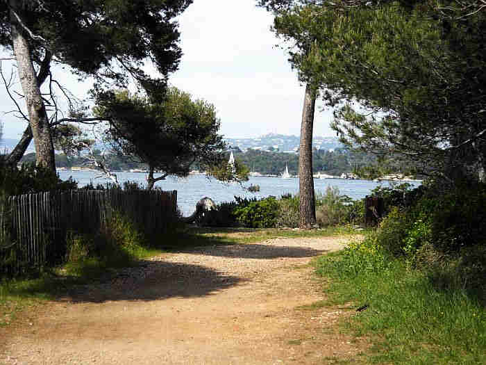 paysage  de l'&icirc;le Saint-Honorat  et  vue  sur  l'&icirc;le Ste-Marguerite