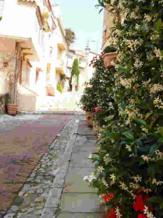 old street le Suquet, Cannes