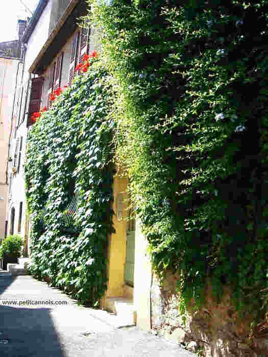 vieille rue le Suquet, Cannes