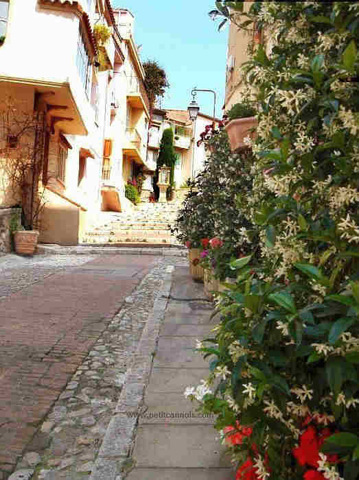old street le Suquet, Cannes