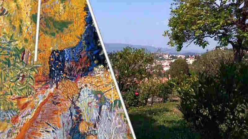 Garden of Le Cannet Bonnard