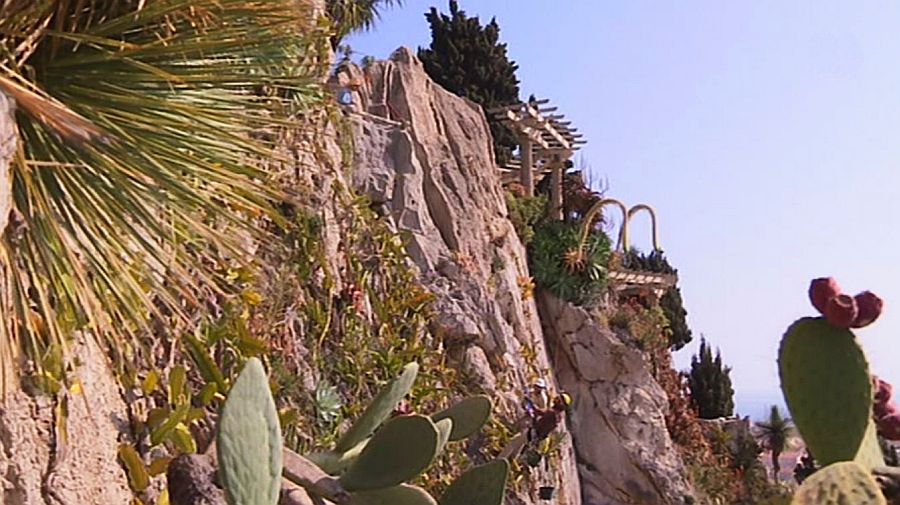 exotic garden of Monaco