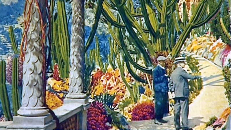 exotic garden of Monaco, the creator of  the garden  with Louis 2