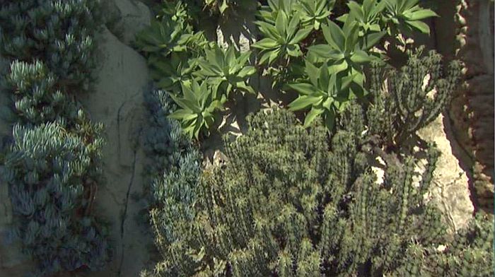 Jardin exotique de Monaco