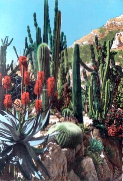 Jardin exotique de Monaco