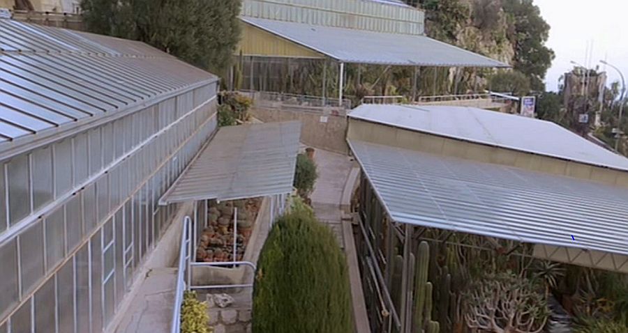 Serres du jardin exotique de Monaco