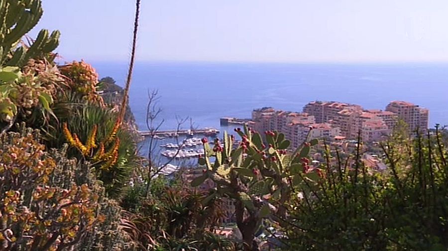 Jardin exotique de Monaco