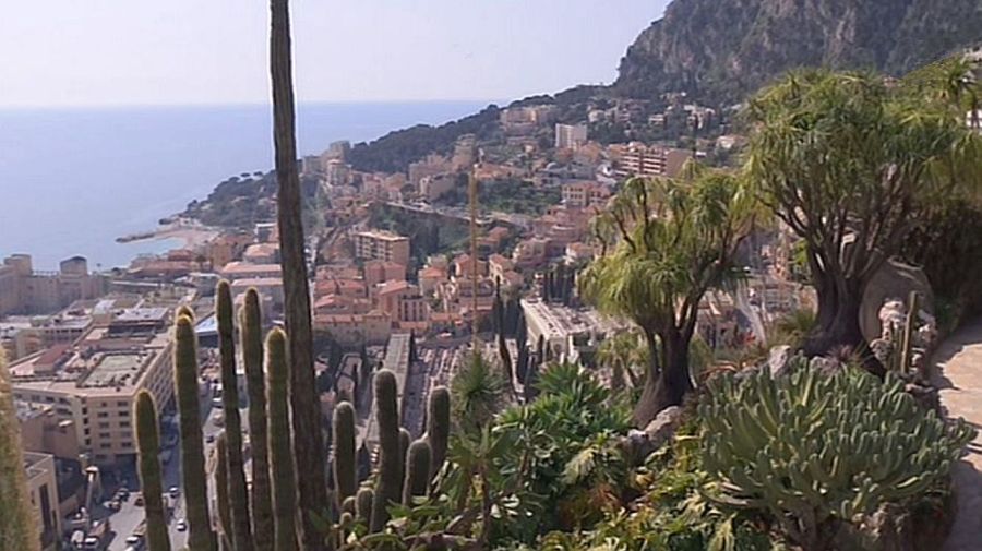exotic garden of Monaco