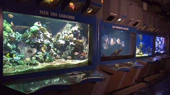 Oceanographic museum of Monaco