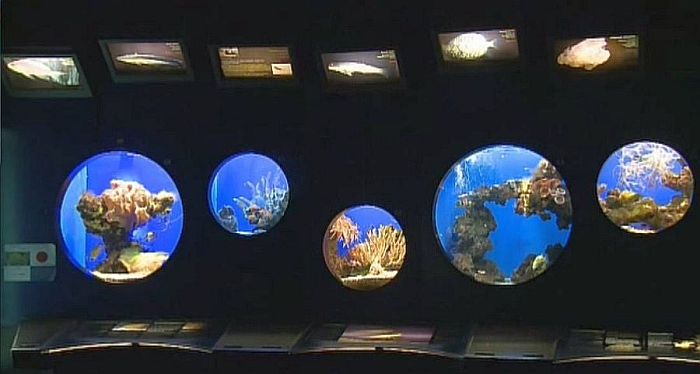 Mus&eacute;e oc&eacute;anographique de Monaco