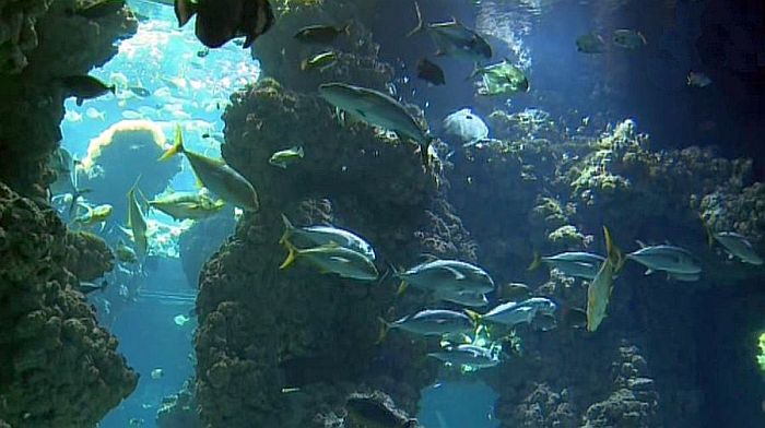 Oceanographic museum of Monaco