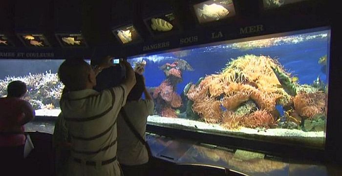 Oceanographic museum of Monaco