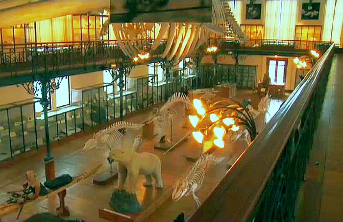 Mus&eacute;e oc&eacute;anographique de Monaco